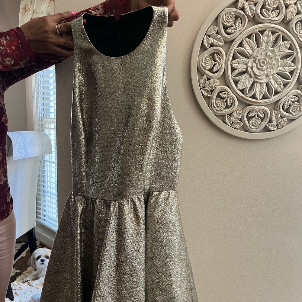 Alice + Olivia sparkly dress